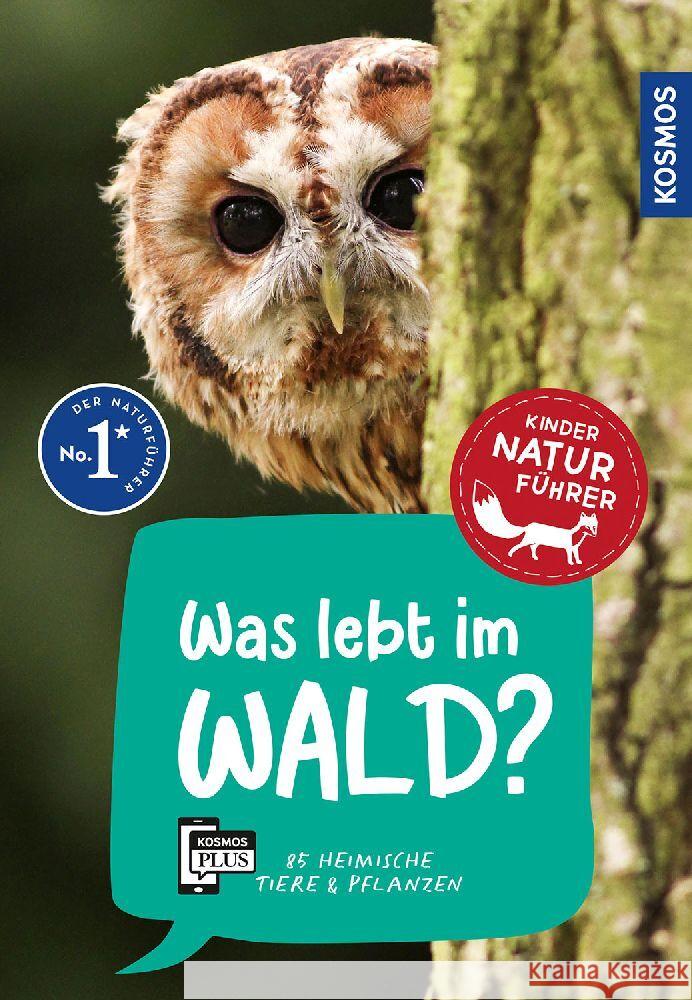 Was lebt im Wald? Kindernaturführer Haag, Holger 9783440175750 Kosmos (Franckh-Kosmos) - książka