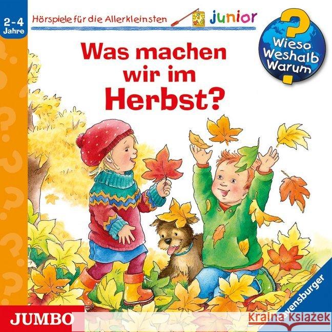 Was machen wir im Herbst?, 1 Audio-CD : CD Standard Audio Format, Hörspiel Erne, Andrea 9783833737633 Jumbo Neue Medien - książka