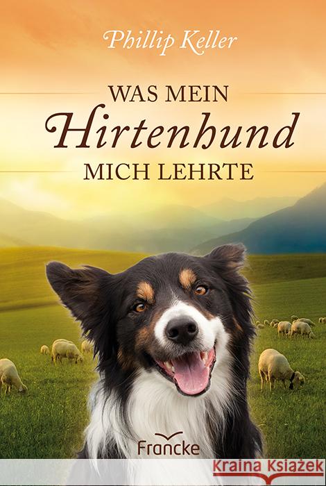 Was mein Hirtenhund mich lehrte : Mit einem Vorwort von Noor van Haaften Keller, Phillip 9783868272758 Francke-Buchhandlung - książka