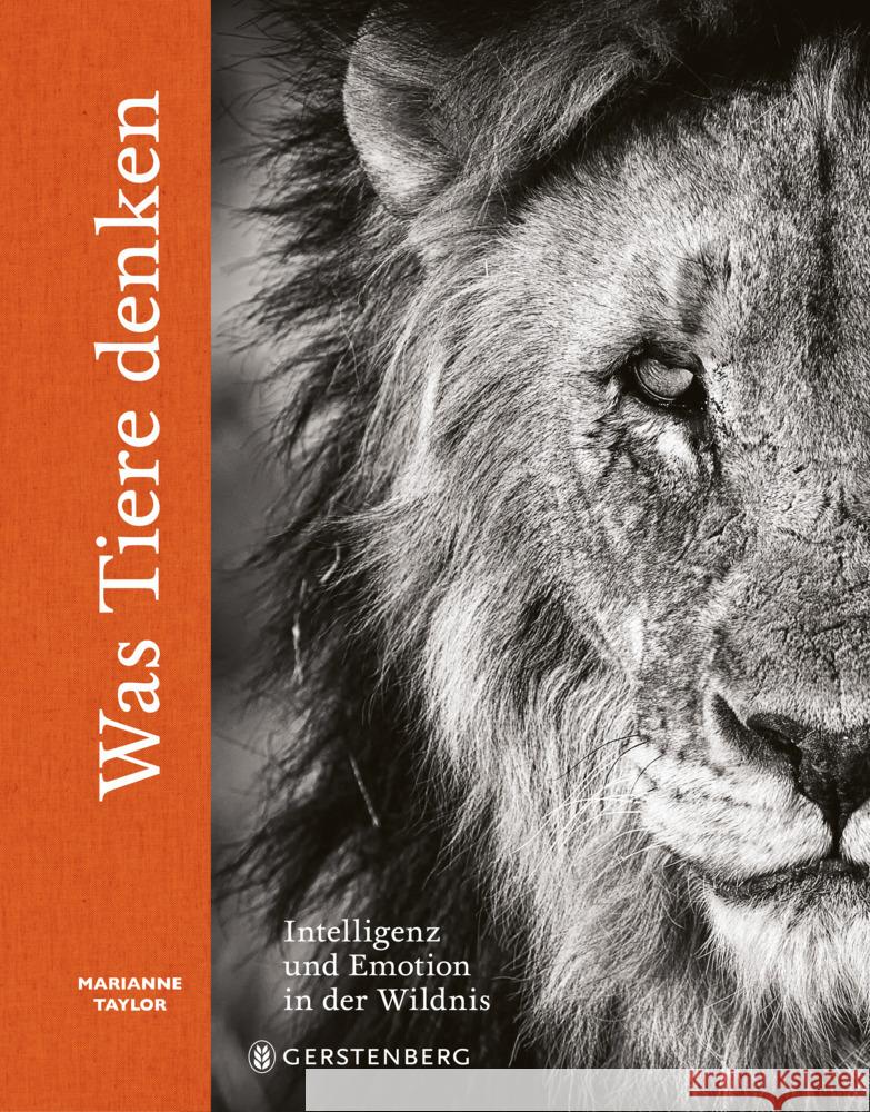 Was Tiere denken Taylor, Marianne 9783836922029 Gerstenberg Verlag - książka