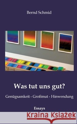 Was tut uns gut? Schmid, Bernd 9783384848727 tredition - książka