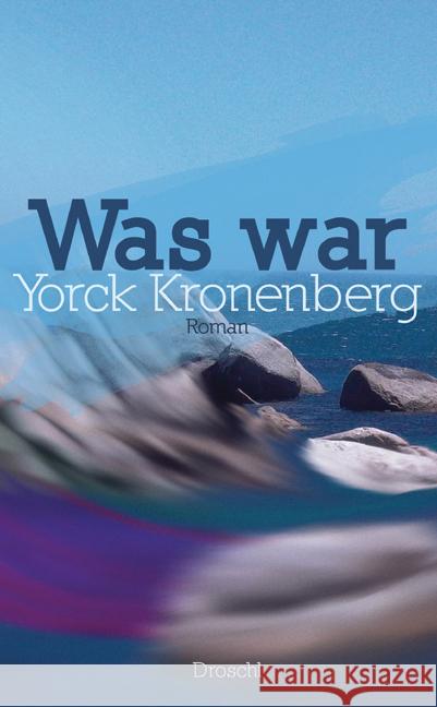Was war : Roman Kronenberg, Yorck 9783854208297 Literaturverlag Droschl - książka