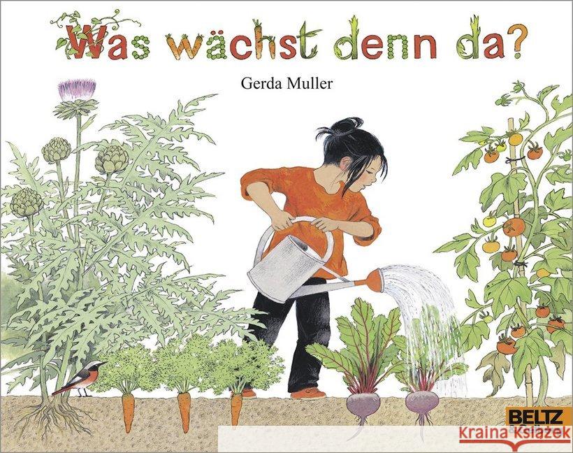 Was wächst denn da? Muller, Gerda 9783407761996 Beltz - książka