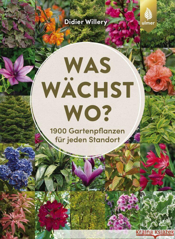 Was wächst wo? Willery, Didier 9783818616496 Verlag Eugen Ulmer - książka