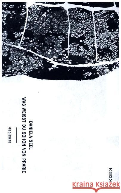 Was weißt du schon von Prärie : Gedichte Seel, Daniela 9783937445731 Kookbooks - książka