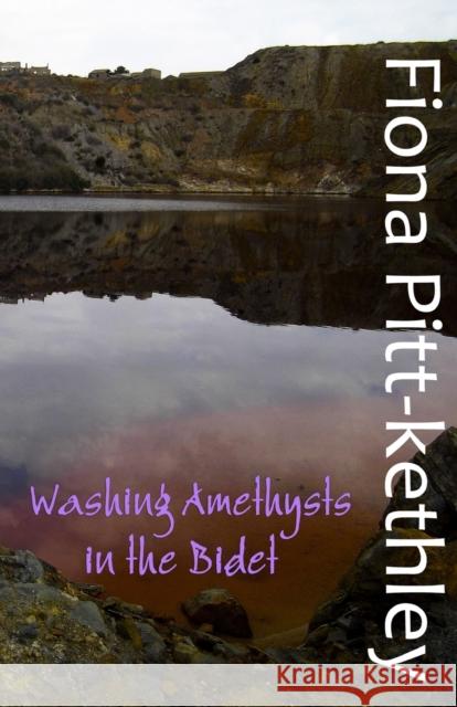 Washing Amethysts in the Bidet Fiona Pitt-Kethley   9781912777365 U P Publications - książka