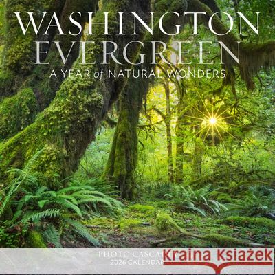 Washington Evergreen Wall Calendar 2026: A Year of Natural Wonders Photo Cascadia                           Workman Calendars 9781523532575 Workman Publishing - książka