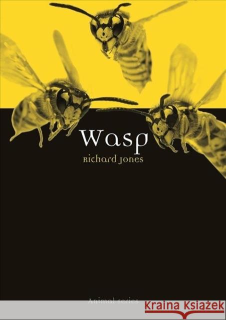 Wasp Richard Jones 9781789141610 Reaktion Books - książka