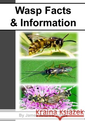 Wasp Facts & Information James Andrew Jones 9781471717208 Lulu.com - książka