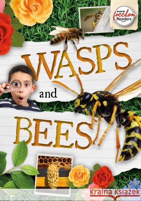 Wasps and Bees William Anthony 9781801551427 BookLife Publishing - książka