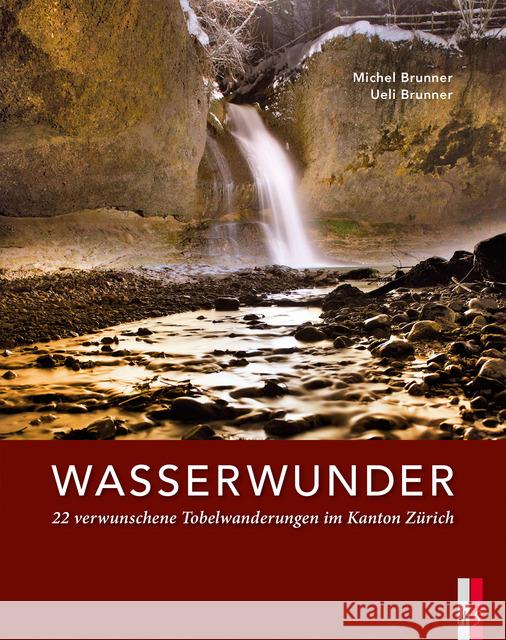 Wasserwunder : 22 verwunschene Tobelwanderungen im Kanton Zürich Brunner, Michel; Brunner, Ueli 9783906055558 AS Verlag, Zürich - książka