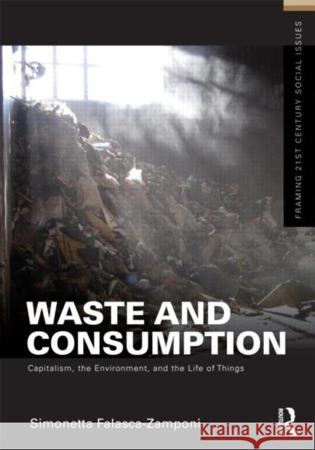 Waste and Consumption : Capitalism, the Environment, and the Life of Things Simonetta Falasca-Zamponi 9780415892100  - książka