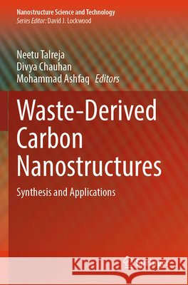 Waste-Derived Carbon Nanostructures  9783031752490 Springer - książka