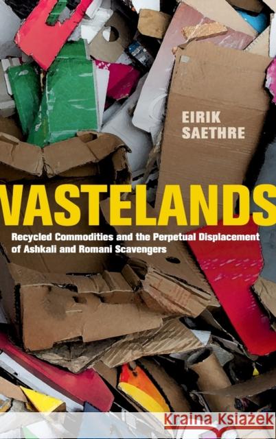 Wastelands: Recycled Commodities and the Perpetual Displacement of Ashkali and Romani Scavengers Eirik Saethre 9780520368491 University of California Press - książka