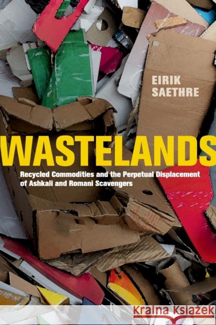 Wastelands: Recycled Commodities and the Perpetual Displacement of Ashkali and Romani Scavengers Eirik Saethre 9780520368514 University of California Press - książka