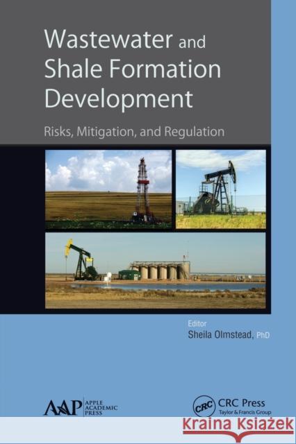 Wastewater and Shale Formation Development: Risks, Mitigation, and Regulation Sheila Olmstead 9781774635667 Apple Academic Press - książka