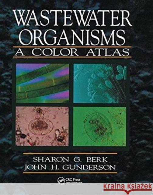 Wastewater Organisms a Color Atlas: A Color Atlas Berk, Sharon G. 9781138474833 Taylor and Francis - książka