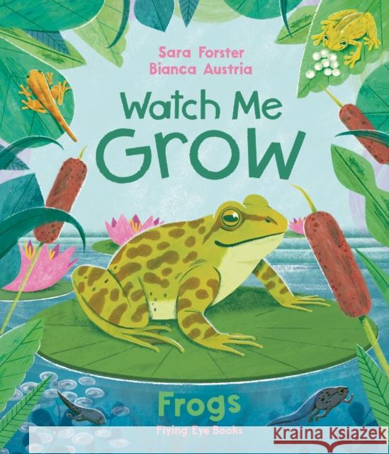 Watch Me Grow: Frogs  9781838741976 Flying Eye Books - książka