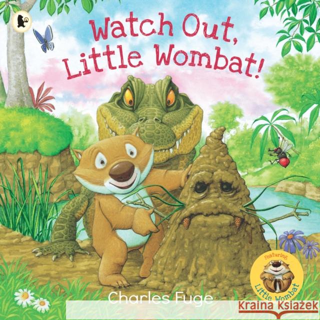 Watch Out, Little Wombat! Charles Fuge 9781529506532 Walker Books Ltd - książka