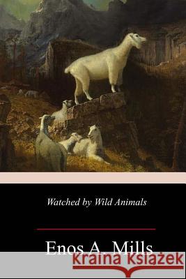 Watched by Wild Animals Enos A. Mills 9781982054922 Createspace Independent Publishing Platform - książka