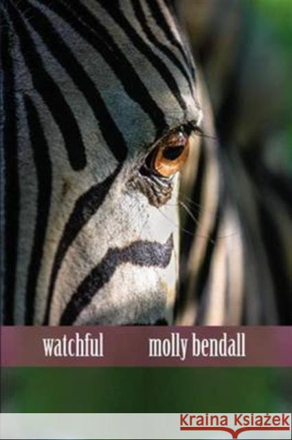 Watchful Molly Bendall 9781632430212 Omnidawn - książka