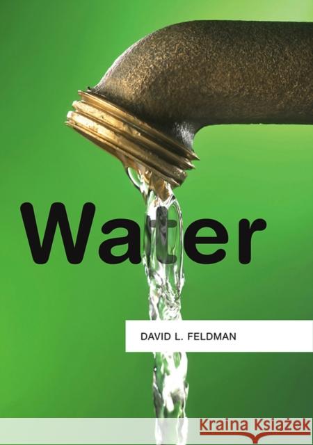 Water David Feldman 9780745650333 BLACKWELL PUBLISHERS - książka