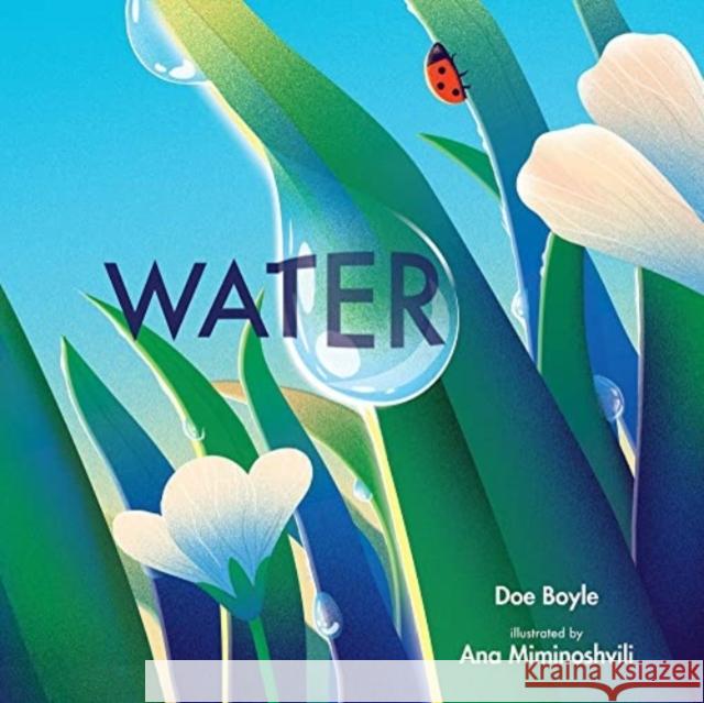 Water Boyle, Doe 9780807586693 Albert Whitman & Company - książka