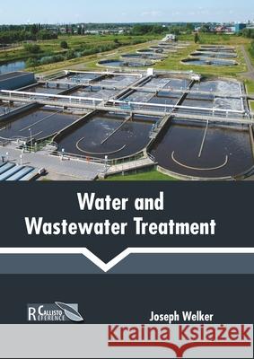Water and Wastewater Treatment Joseph Welker 9781641166270 Callisto Reference - książka