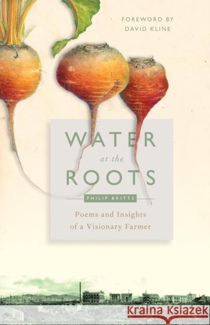 Water at the Roots: Poems and Insights of a Visionary Farmer Philip Britts David Kline Jennifer Harries 9780874861280 Plough Publishing House - książka
