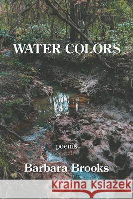 Water Colors Barbara Brooks 9781954353541 Kelsay Books - książka