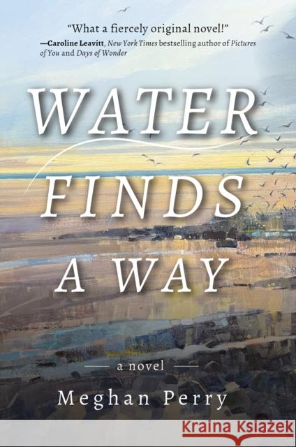 Water Finds a Way a novel Meghan Perry 9781953002419 Delphinium Books, Inc - książka