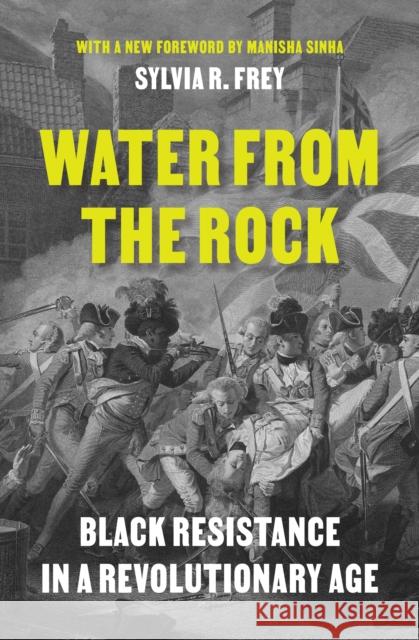 Water from the Rock: Black Resistance in a Revolutionary Age Sylvia R. Frey 9780691237787 Princeton University Press - książka