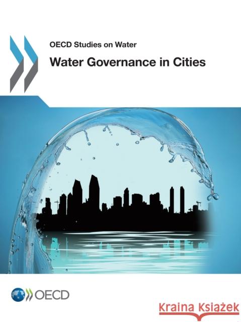 Water Governance in Cities Organisation for Economic Co-Operation and Development (OECD) 9781780408248 IWA Publishing - książka