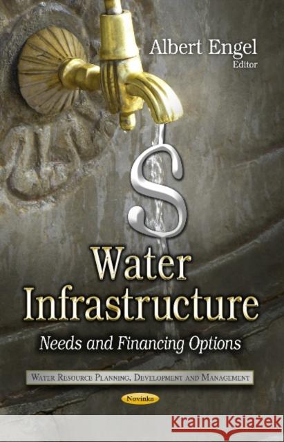 Water Infrastructure: Needs & Financing Options Albert Engel 9781628081749 Nova Science Publishers Inc - książka