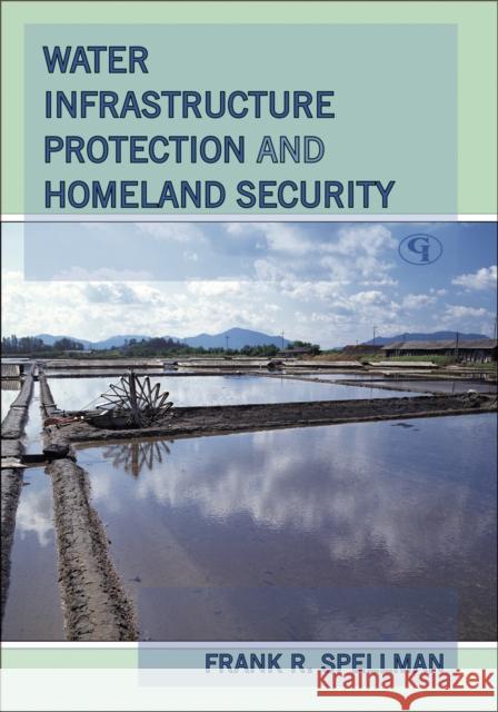 Water Infrastructure Protection and Homeland Security Frank R. Spellman 9780865874183 ABS Consulting - książka