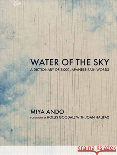 Water of the Sky: A Dictionary of 2,000 Japanese Rain Words Hollis Goodall 9780262049863 MIT Press - książka