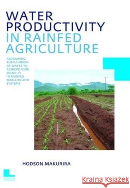 Water Productivity in Rainfed Agriculture: Unesco-Ihe PhD Thesis Hodson Makurira 9781138474598 CRC Press - książka