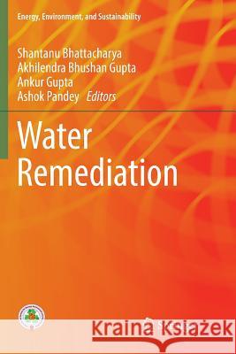 Water Remediation Shantanu Bhattacharya Akhilendra Bhushan Gupta Ankur Gupta 9789811356520 Springer - książka