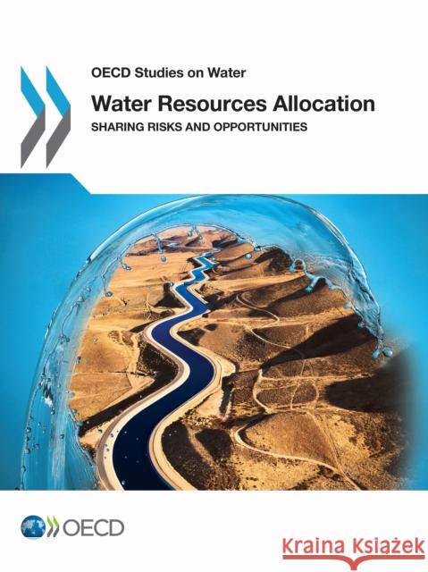 Water Resources Allocation: Sharing Risks and Opportunities Organisation for Economic Co-Operation and Development (OECD) 9781780407616 IWA Publishing - książka