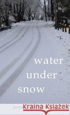 Water under Snow Ralph Stevens 9781666722833 Resource Publications (CA) - książka