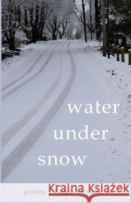 Water under Snow Ralph Stevens 9781666730845 Resource Publications (CA) - książka