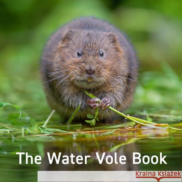 Water Vole Book, The Hugh Warwick 9781802581676 Graffeg Limited - książka