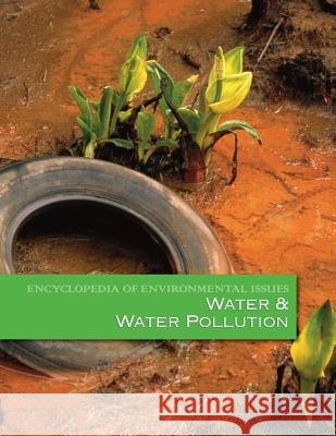 Water & Water Pollution Craig W. Allin 9781429836739 Salem Press - książka