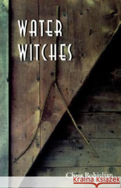 Water Witches Chris. Bohjalian 9780874516876 University Press of New England - książka