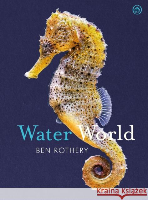Water World Ben Rothery 9780241435533 Penguin Random House Children's UK - książka