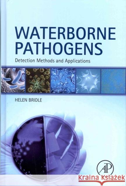 Waterborne Pathogens: Detection Methods and Applications Bridle, Helen 9780444595430 ELSEVIER - książka