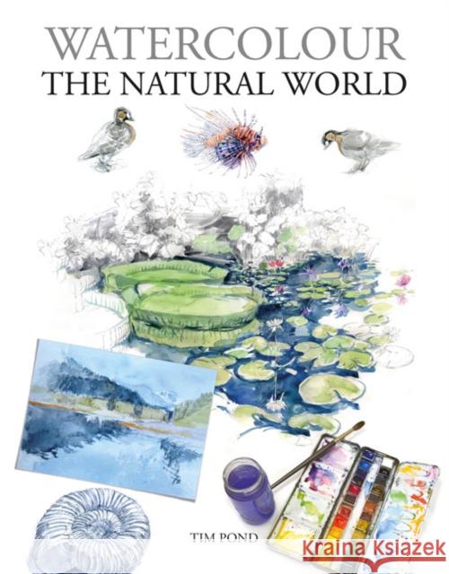 Watercolour The Natural World Tim Pond 9781784946395 GMC Publications - książka