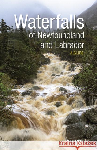 Waterfalls of Newfoundland and Labrador: A Guide Steve Faulkner 9781773104355 Goose Lane Editions - książka