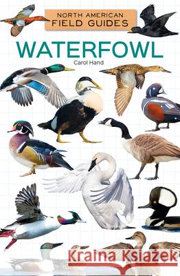 Waterfowl Carol Hand 9781098298968 Field Guides - książka