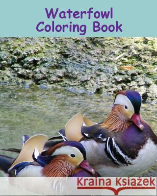 Waterfowl Coloring Book Kitty Fournier 9781490450643 Createspace - książka